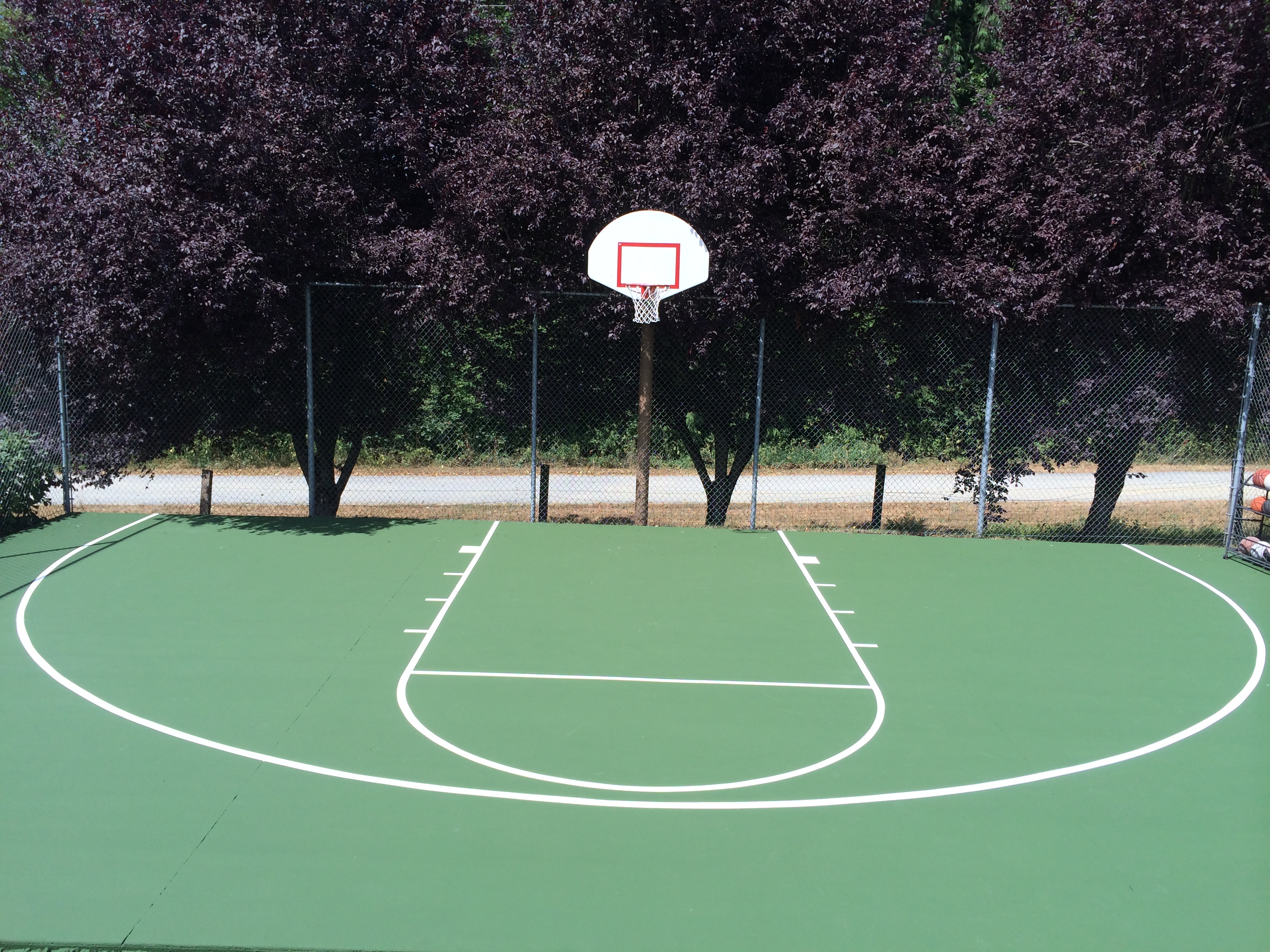 Backyard Basketball Court Washington
