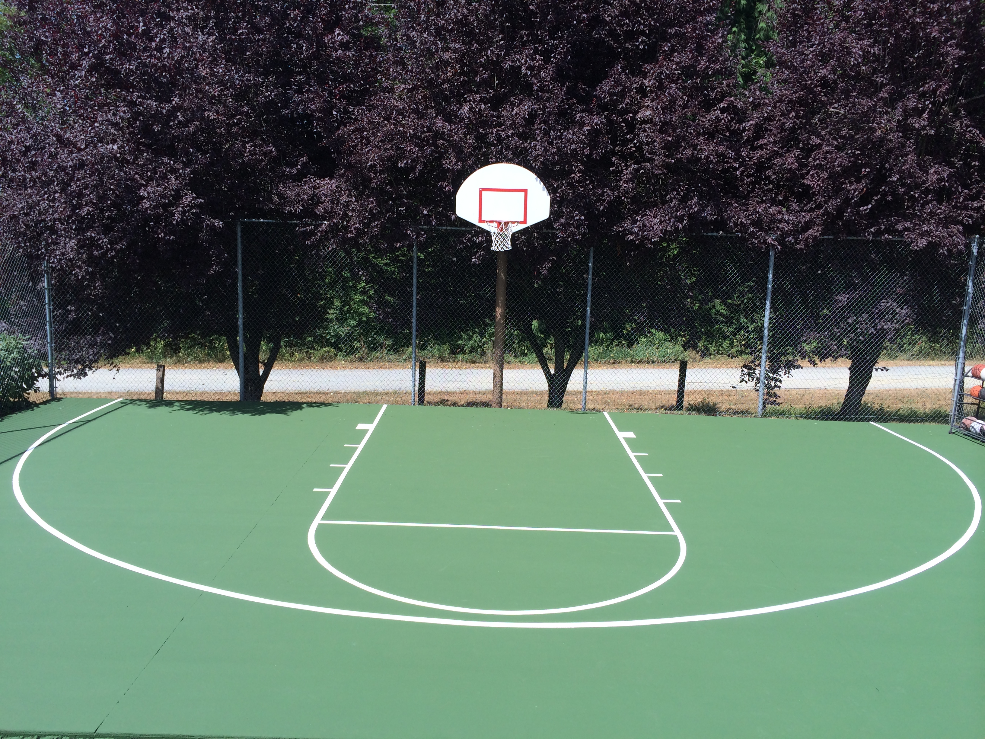 Backyard Sports Court Construction & Surfacing | Washington