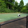 Tennis Court Blower